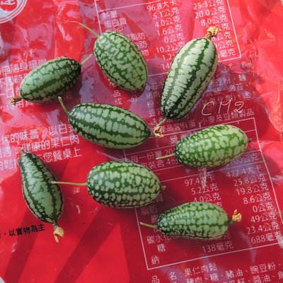 限時買4送1～拇指西瓜 (佩普基諾) 新鮮種子，一組25元3粒。