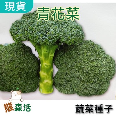 ～全館滿790免運～青花菜種子 約200粒 Broccoli 綠色花椰菜【熊森活】