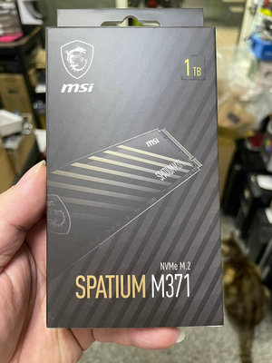 MSI 微星 SPATIUM M371 NVMe M.2 1TB 固態硬碟 全新 蘆洲可自取 自取價1590