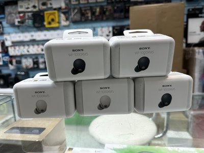 禾豐音響 加送耳機收納盒 SONY WF-1000XM5 真無線降噪耳機 台灣公司貨保固18個月