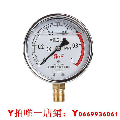 YN100徑向耐震壓力表甘油表加油表空壓機表直立式壓力表