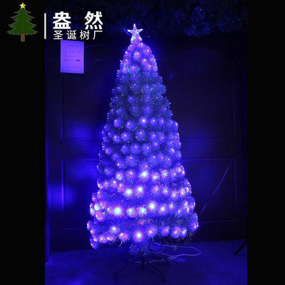 【現貨精選】10年老廠光纖聖誕樹套餐發光聖誕樹全藍光光纖樹聖誕節裝飾用品