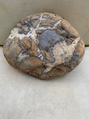 [彰化包] 龜甲石 雕龜 石雕 烏龜