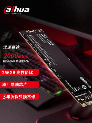 【立減20】大華Dahua M.2 NVME固態硬盤 C900系列 256G 固態硬盤SSD 二手
