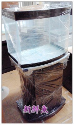 ~新鮮魚水族館~實體店面 台灣製造 海灣 豪華缸 系列 2尺 套缸: 魚缸+櫃(木心板+2門)