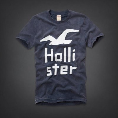 愛麗絲小舖 ~ 100%全新真品HOLLISTER Little Harbor T-Shirt 短袖洗舊海鷗貼布T恤~現貨M號~