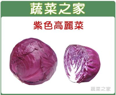 【蔬菜之家滿額免運】B19.紫色高麗菜種子50顆(日本進口紫色甘藍，結球大，品質佳。蔬菜種子)