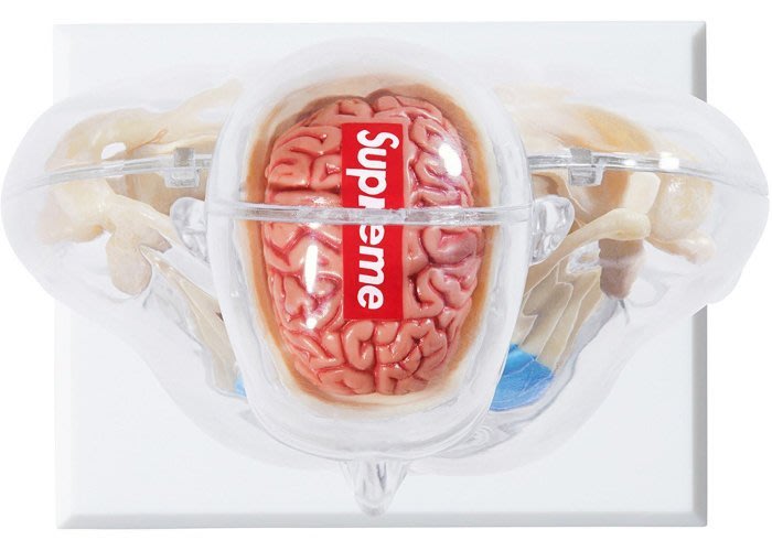 現貨全新Supreme Anatomy Model 人體解剖模型(一組另有優惠) 類KAWS 半 