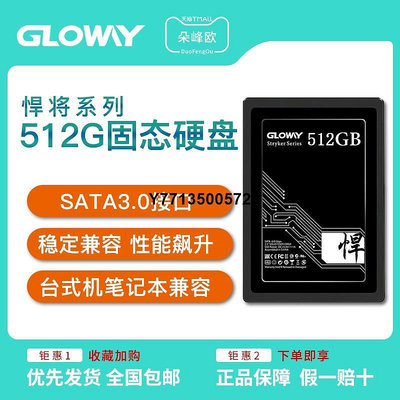 光威悍將SSD固態硬碟128G 256G 512G 240G 480G桌機筆電SATA3