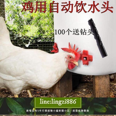 【現貨】~全網最低價~雞用小雞飲水器散養雞用飲水乳頭養雞設備養殖用小雞喝水喂水器
