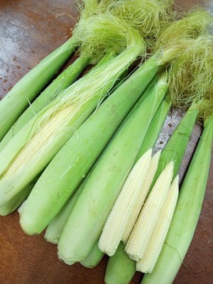 李家農場 自家栽種 無毒 彩虹玉米筍 產季12月，8斤裝