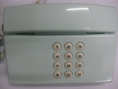 古董電話 老電話 大霸電話 TA-202 機械響鈴 1989 年製造 非轉盤撥盤電話 功能正常 免運費