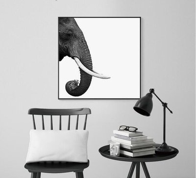 北歐風現代簡約客廳沙發背景牆裝飾畫臥室壁畫餐廳黑白大象掛畫