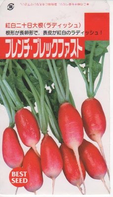 【1磅裝蔬菜種子P352】法國早餐迷你蘿蔔，好漂亮的白蘿蔔品種！