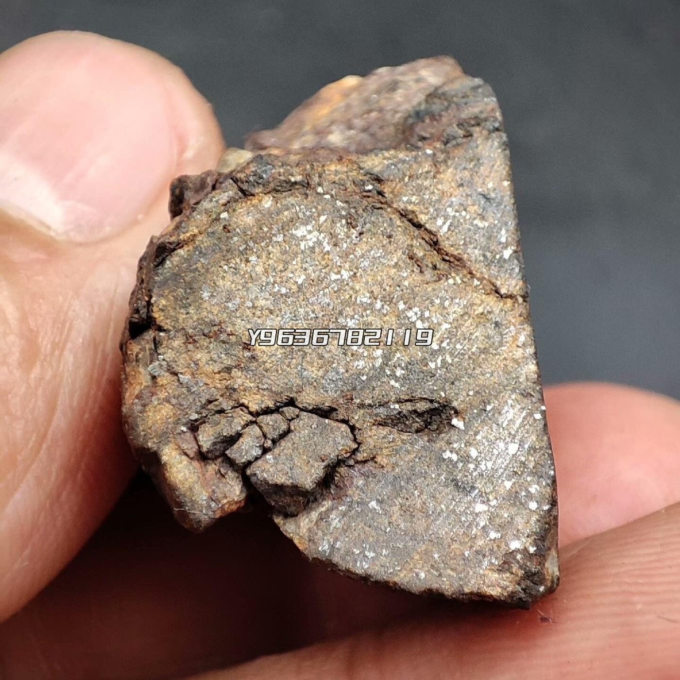 18.54克H6型NWA西北非經典球粒石隕石切塊標本原石天然原石小物件雅石 