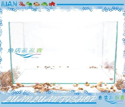 【~魚店亂亂賣~】全新台灣Mr.Aqua水族先生2尺(60× 30× 36cm)高透明度開放缸二尺玻璃魚缸(台製)