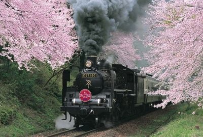日本正版拼圖 櫻花 SL火車 1000片絕版拼圖，11-367