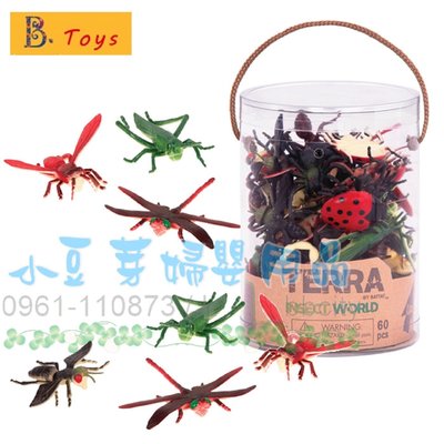 B.Toys TERRA 昆蟲 §小豆芽§ 【美國B.Toys】益智玩具系列-TERRA 昆蟲