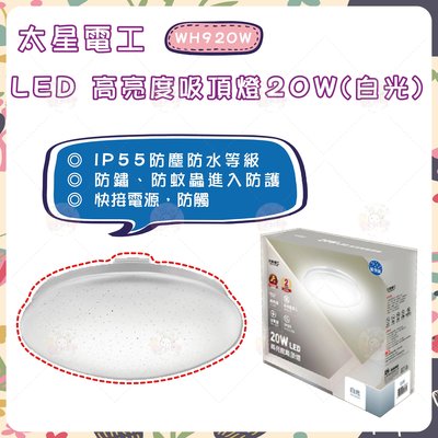 太星電工 LED 高亮度吸頂燈 20W (白光) WH920W