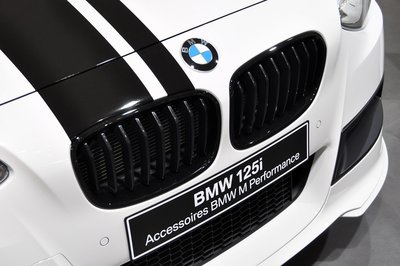 BMW M Performance 原廠 黑色 黑鼻頭 水箱罩 For F20  ( 另有 F20 Lci )