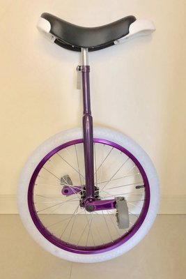 （買車送課程）玉鉉 獨輪車unicycle 20吋 單輪車 台灣製造 學習平衡的好運動 免運費！?有間雜貨店?