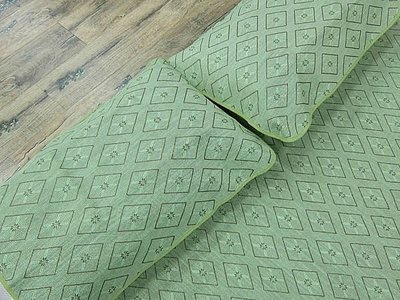 【范登伯格】100%天然植草菱格清涼綠枕頭套二入組.賠售價99元-枕頭套 x2個