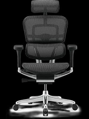 ERGOHUMAN 2.0 全功能版 人體工學椅/辦公椅 (無固定式腳凳)