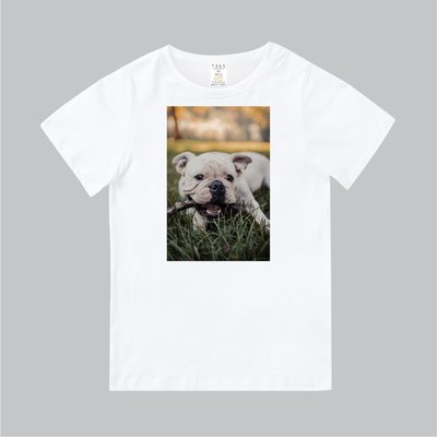 T365 MIT 親子 童裝 情侶 T恤 T-shirt 短T 狗 DOG 鬥牛犬 法鬥 french bulldog