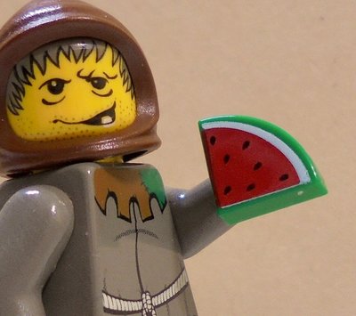 【LEGO樂高】食物水果 綠色外皮紅色果肉 西瓜 Green Watermelon 1x1格圓弧形平板 Tile