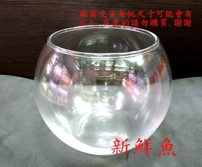 ~新鮮魚水族館~實體店面 8吋 高透明 玻璃 圓球缸 金魚缸 圓型缸 直徑約20.5公分*高約17公分