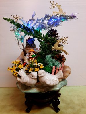 聖誕銀雪松（乾燥花）＋珍珠柏，情境設計盆栽＄800