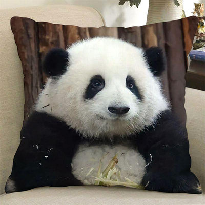 大熊貓抱枕 抱枕訂製 可愛 沙發靠墊 成都花花 玩偶 公仔禮物 枕頭 床頭靠枕 創意小物 宅配