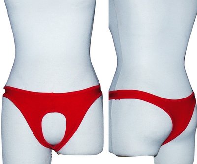 [魚無魚工作室]泳裝布料~紅色前開洞情趣小褲褲(P110R)