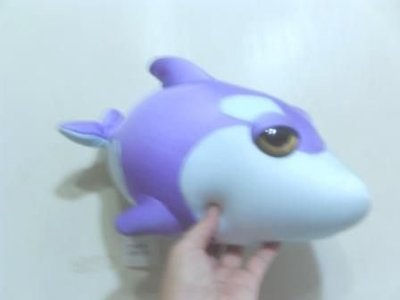 全新大眼鯊魚(長約30公分)