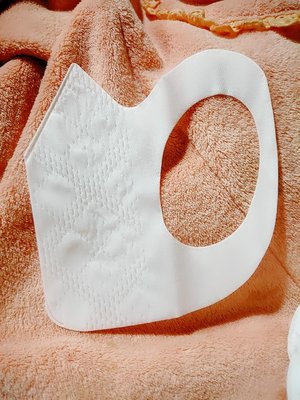[現貨] 超科技3D立體口罩10入24H出貨/台灣現貨(白色）台灣製一般口罩無鋼印