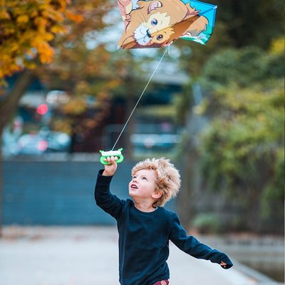 特賣-風箏迪卡儂兒童大型高檔成人風箏獅子熊貓三角易飛軟體適合初學者ODCK