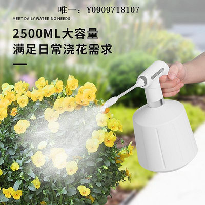 澆花壺電動噴壺澆花神器家用灑水自動澆水噴水壺消毒專用小型噴霧器清潔花灑壺