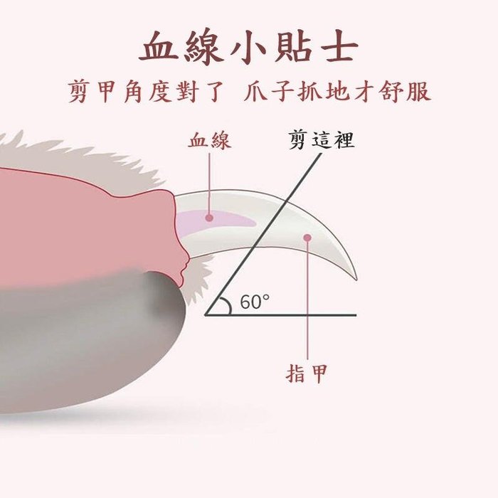 【珍愛頌】LH002 LED寵物指甲剪 發光指甲剪 貓咪指甲剪 LED指甲剪 狗狗指甲剪 貓指甲剪 引力指甲剪 磨甲器