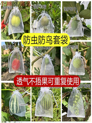 水果套袋防蟲防鳥袋子草莓無花果石榴葡萄番茄保護果實專用紗網套-小琳商店