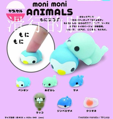 特價！日本 Qualia moni moni海洋小動物 軟軟 擺件 扭蛋