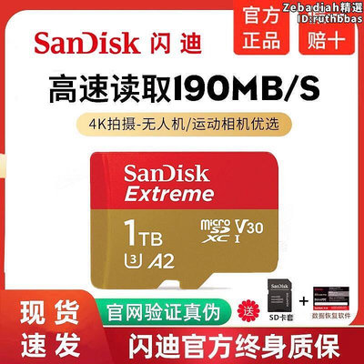 1t記憶卡1tb sd卡switch運動相機卡記憶卡tf卡1000