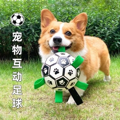 CC小铺狗狗足球人寵互動訓練專用球磨牙解悶自嗨神器中小型犬拋擲彈力球
