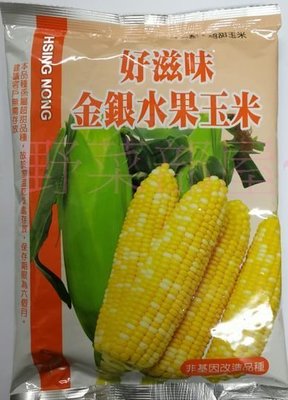【野菜部屋~中包裝】N04 好滋味雙色水果玉米種子半磅 , 可生吃 , 甜度高 ~