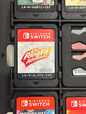 Nintendo Switch 遊戲片 健身環大冒險 任天堂 台東 遊戲 二手