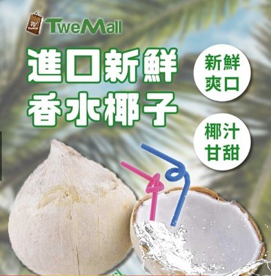 椰子 水果飲料 香水椰子 (12顆/箱) 泰國 奶香椰子 宴客 烤肉必備 新鮮宅配送到家椰子新鮮