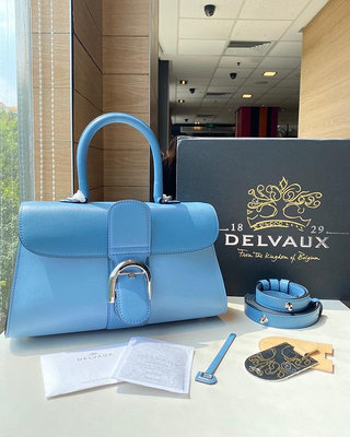 45：Delvaux brillant拼色28