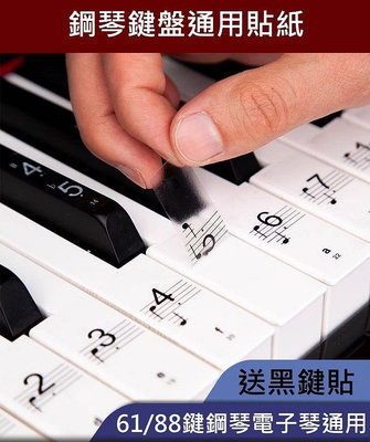 台灣現貨供應～鋼琴通用貼紙88鍵透明61電子琴按鍵盤音標貼音符