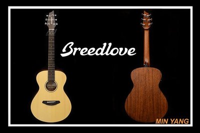 【民揚樂器】民謠吉他 Breedlove BREPPT21E 36吋 旅行吉他 面單