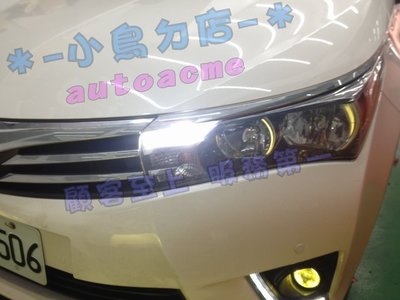 【小鳥的店】豐田 2014-2016 ALTIS 11代 X版 燈泡 LED 台製 白光 小燈 爆亮款 T10 18晶