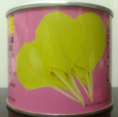 【野菜部屋~】F21 日本金光菜種子3公克 ,耐熱小白菜 ,葉色金黃色 ,每包15元~
